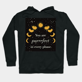 Purrrfect cat phase moon Hoodie